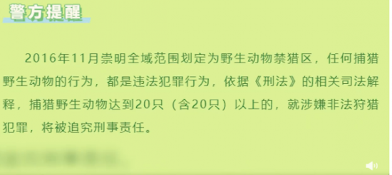 别拿癞蛤蟆不当保护动物:夫妻抓121只蛤蟆刮蟾酥涉嫌非法狩猎