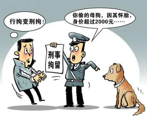 亲人被刑拘了,可以申请探视吗?监狱多久能探监一次?